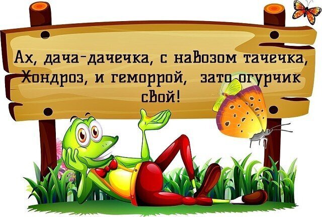 Юмористическая картинка с дачной надписью и веселым мультяшным лягушонком. Идеальный мем для дачников и любителей садового юмора. Открытка Ах, дача-дачечка, с навозом тачечка, Хондроз, и геморрой, зато огурчик свой! Забавная юмористическая картинка в стиле дачного юмора. На фоне деревянной таблички с ироничной надписью на русском языке про дачу, удобрения и урожай, изображен веселый мультяшный лягушонок. Лягушка в красной бабочке и штанах отдыхает на траве, подперев голову рукой. Рядом порхает яркая бабочка