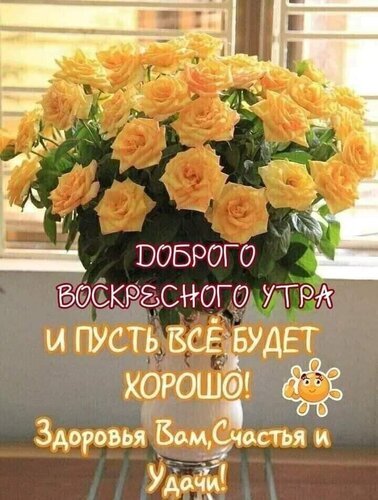 Открытка с букетом желтых роз: пожелание доброго воскресного утра, здоровья, счастья и удачи. Красивая картинка для позитивного настроения в воскресенье. Открытка Доброго воскресного утра Красочная открытка с пышным букетом желтых роз в белой вазе. На изображении нанесен текст на русском языке: 