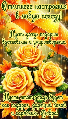 Поздравительная открытка с желтыми розами и пожеланием отличного настроения в любую погоду. Вдохновляющие слова о гармонии, добре и умиротворении. Открытка Отличного настроения Красивая поздравительная открытка с изображением нежных желтых роз под теплым дождем. На картинке размещен вдохновляющий текст на русском языке: «Отличного настроения в любую погоду! Пусть дождь подарит вдохновение и умиротворение. Пусть этот дождь будет как подарок, дарящий покой и гармонию. Добра!» Золотистые оттенки, капли воды и осенние листья создают уютную, теплую и позитивную атмосферу Поздравительная открытка с желтыми розами и пожеланием отличного настроения в любую погоду. Вдохновляющие слова о гармонии, добре и умиротворении. Открытка Отличного настроения Красивая поздравительная открытка с изображением нежных желтых роз под теплым дождем. На картинке размещен вдохновляющий текст на русском языке: «Отличного настроения в любую погоду! Пусть дождь подарит вдохновение и умиротворение. Пусть этот дождь будет как подарок, дарящий покой и гармонию. Добра!» Золотистые оттенки, капли воды и осенние листья создают уютную, теплую и позитивную атмосферу