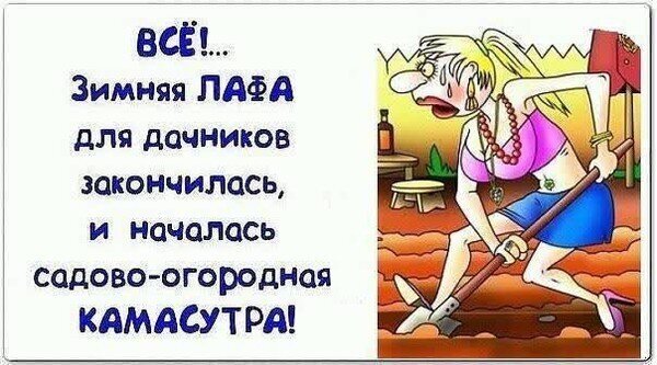 Смешной мем про дачников: окончание зимнего отдыха и начало тяжелых садовых работ. Юмористическая картинка про «садово-огородную камасутру». Открытка BCE! Зимняя для дачников закончилась, и началась садово-огородная Kamacytpa! Юмористическая картинка-мем на тему дачного сезона. На изображении представлена карикатура с текстом: «ВСЕ!.. Зимняя ЛАФА для дачников закончилась, и началась садово-огородная КАМАСТУРА!». Рисунок изображает уставшую женщину с садовым инструментом, что иронично обыгрывает переход от зимнего отдыха к тяжелым сельскохозяйственным работам на даче Смешной мем про дачников: окончание зимнего отдыха и начало тяжелых садовых работ. Юмористическая картинка про «садово-огородную камасутру». Открытка BCE! Зимняя для дачников закончилась, и началась садово-огородная Kamacytpa! Юмористическая картинка-мем на тему дачного сезона. На изображении представлена карикатура с текстом: «ВСЕ!.. Зимняя ЛАФА для дачников закончилась, и началась садово-огородная КАМАСТУРА!». Рисунок изображает уставшую женщину с садовым инструментом, что иронично обыгрывает переход от зимнего отдыха к тяжелым сельскохозяйственным работам на даче