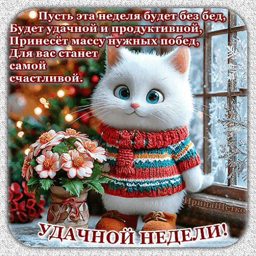 Милая открытка с белым котенком в свитере и пожеланием удачной, продуктивной и счастливой недели. Красивое изображение для доброго настроения! Анимированная открытка Удачной недели! Милая открытка с пушистым белым котенком в ярком вязаном свитере и ботиночках. Котенок сидит рядом с букетом розовых цветов на фоне уютного окна. На картинке расположен вдохновляющий текст на русском языке с пожеланиями удачной, продуктивной и счастливой недели
