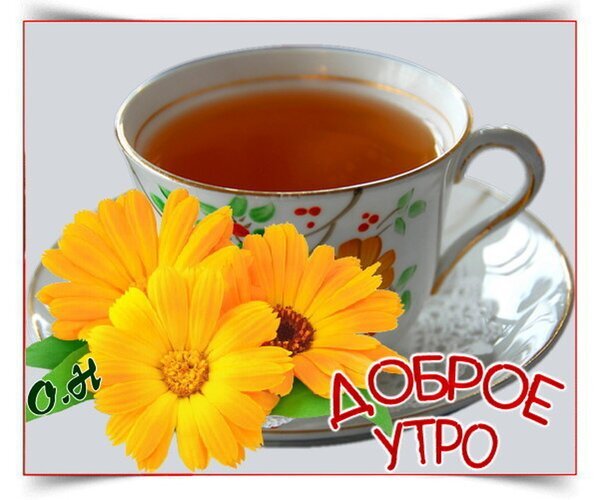 Красивая открытка «Доброе утро» с чашкой чая и яркими желтыми цветами. Теплое и уютное изображение для утренних пожеланий и хорошего настроения. Открытка Доброе утро! Уютная и теплая открытка с чашкой ароматного чая в классической фарфоровой чашке на блюдце. На переднем плане яркие желтые цветы календулы, создающие ощущение солнечного утра и природной свежести. На картинке расположена красивая надпись «ДОБРОЕ УТРО», выполненная в красно-белом стиле