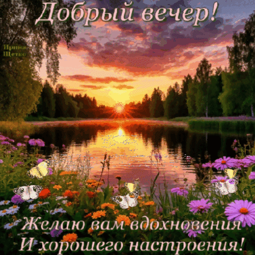 Открытка «Добрый вечер!»: живописный закат над озером, цветы и бабочки. Пожелание вдохновения и хорошего настроения для ваших близких. Анимированная открытка Добрый вечер! Красивая открытка с пожеланием доброго вечера. На изображении запечатлен живописный закат над спокойным озером, отражающим золотые лучи солнца. На переднем плане — яркие летние цветы и порхающие белые бабочки, создающие атмосферу умиротворения и радости. Текст на картинке гласит: «Добрый вечер! Желаю вам вдохновения и хорошего настроения!» Открытка «Добрый вечер!»: живописный закат над озером, цветы и бабочки. Пожелание вдохновения и хорошего настроения для ваших близких. Анимированная открытка Добрый вечер! Красивая открытка с пожеланием доброго вечера. На изображении запечатлен живописный закат над спокойным озером, отражающим золотые лучи солнца. На переднем плане — яркие летние цветы и порхающие белые бабочки, создающие атмосферу умиротворения и радости. Текст на картинке гласит: «Добрый вечер! Желаю вам вдохновения и хорошего настроения!»