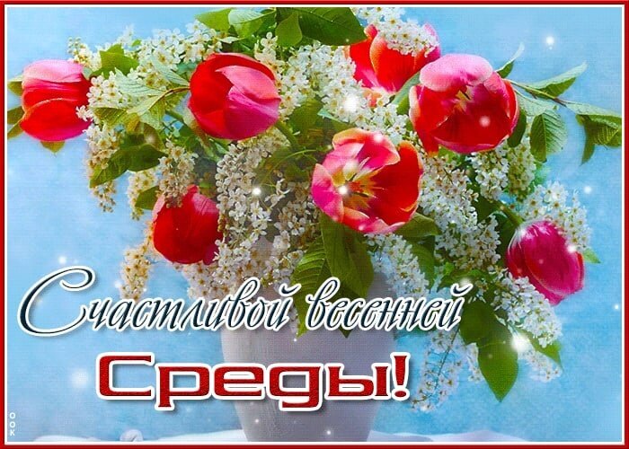 Поздравная открытка Счастливой весенней среды! с букетом красных тюльпанов и белых цветов. Весеннее пожелание хорошего дня в среду для соцсетей. Открытка Среда Красочная открытка с букетом ярко-красных тюльпанов и нежных белых цветов в вазе на голубом фоне. На изображении присутствует поздравительная надпись на русском языке: Счастливой весенней среды!