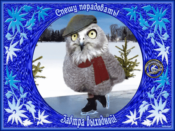 Милая сова на коньках в зимней рамке. Поздравительная открытка с надписью «Спешу порадовать! Завтра выходной!» для поднятия настроения. Анимированная открытка Спешу порадовать! Завтра выходной! Забавная поздравительная открытка с изображением милой совы в кепке и красном шарфе, которая стоит на коньках на заснеженном катке. Изображение обрамлено ярко-синей декоративной рамкой с ледяными узорами и снежинками. На картинке присутствуют надписи на русском языке: сверху «Спешу порадовать!», а снизу «Завтра выходной!». Справа расположен стилизованный штамп «Музыкальная открытка»