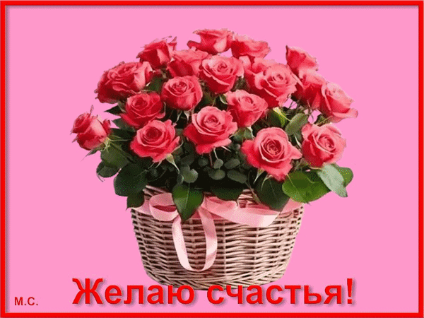 Букет розовых роз в корзинке с надписью «Желаю счастья!». Красивая поздравительная открытка для отправки близким в WhatsApp, Viber или соцсети. Анимированная открытка Желаю счастья! Красивый букет из пышных розовых роз, расположенных в плетеной корзинке с нежно-розовой лентой. Изображение выполнено на ярком розовом фоне. В нижней части картинки расположена красная надпись на русском языке «Желаю счастья!»