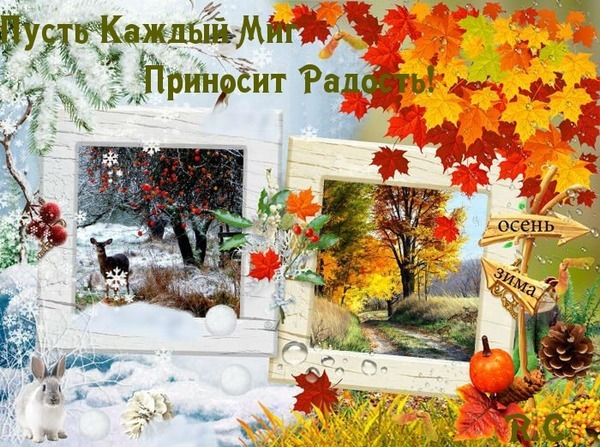 Уютный коллаж с осенними и зимними мотивами: кленовые листья, снег, олень и кролик. Вдохновляющая надпись Пусть каждый миг приносит радости! для открыток. Открытка Пусть Каждый Миг Приносит Радость! Коллаж в осенне-зимней тематике с уютной атмосферой. На изображении представлены две фоторамки: в одной запечатлен зимний пейзаж с оленем в заснеженном лесу, в другой — золотой осенний лес с тропинкой. Декор включает яркие кленовые листья, снежинки, белую пушистую морку (кролика), тыкву, сосновую шишку и ягоды. Сверху расположена вдохновляющая надпись на русском языке: 