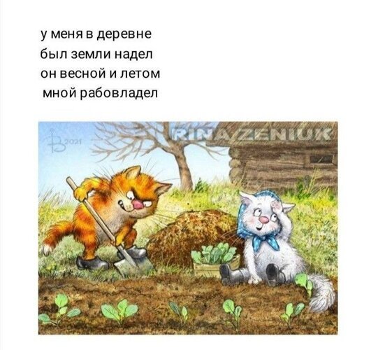 Юмористический мем с котами-огородниками: рыжий кот работает лопатой, а белый отдыхает. Ироничная надпись о тяжелом труде на даче и сельской жизни. Открытка У меня в деревне был земли надел Забавный юмористический мем в виде рисунка, на котором изображены два антропоморфных кота, занимающихся сельским хозяйством. Рыжий кот с решительным выражением морды активно работает лопатой в огороде, а белый кот в голубом чепчике сидит рядом и наблюдает за процессом. На картинке присутствует ироничная надпись на русском языке: «у меня в деревне был земли надел он весной и летом мной рабовладел», которая обыгрывает тяжелый труд на даче или в деревне