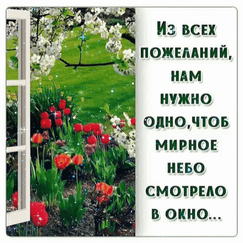 Открытка с цитатой о мирном небе и видом на цветущий весенний сад через открытое окно. Красивое изображение для пожеланий мира и добра. Анимированная открытка Пусть мирное небо смотрит в окно! Красивая поздравительная открытка с вдохновляющей цитатой о мире. На изображении запечатлен вид из открытого окна на цветущий весенний сад с яркими красными тюльпанами и белыми цветами под лучами солнца. Текст на русском языке гласит: «Из всех пожеланий, нам нужно одно, чтоб мирное небо смотрело в окно...»