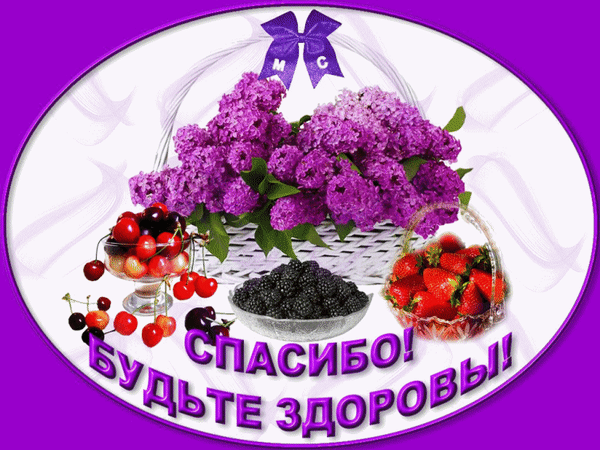 Поздравительная открытка с букетом сирени и корзинами свежих ягод. Надпись: «СПАСИБО! БУДЬТЕ ЗДОРОВЫ!». Красивое пожелание здоровья и благодарности. Анимированная открытка Спасибо! Будьте Здоровы! Красивая поздравительная открытка в фиолетовых тонах. На композиции изображен пышный букет фиолетовой сирени в корзине, дополненный вазами со спелыми ягодами: красной вишней, черными ежевикой и сочной клубникой. В нижней части картинки расположена надпись на русском языке: СПАСИБО! БУДЬТЕ ЗДОРОВЫ!, выполненная стильным шрифтом с тенью