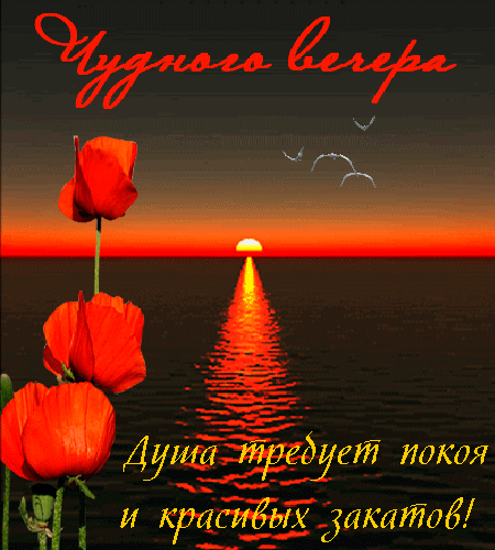 Красивая открытка: закат над морем, красные маки и чайки. Надпись: «Уютного вечера! Душа требует покоя и красивых закатов!». Идеально для пожеланий спокойного вечера. Анимированная открытка Чудесного вечера! Красивая открытка с изображением яркого заката над морем. На переднем плане — три крупных красных мака, а на заднем плане — солнце, уходящее за горизонт, и летящие чайки. На картинке присутствует надпись на русском языке: «Уютного вечера» сверху и «Душа требует покоя и красивых закатов!» снизу. Атмосферное изображение, передающее чувство спокойствия, умиротворения и эстетику вечерней природы Красивая открытка: закат над морем, красные маки и чайки. Надпись: «Уютного вечера! Душа требует покоя и красивых закатов!». Идеально для пожеланий спокойного вечера. Анимированная открытка Чудесного вечера! Красивая открытка с изображением яркого заката над морем. На переднем плане — три крупных красных мака, а на заднем плане — солнце, уходящее за горизонт, и летящие чайки. На картинке присутствует надпись на русском языке: «Уютного вечера» сверху и «Душа требует покоя и красивых закатов!» снизу. Атмосферное изображение, передающее чувство спокойствия, умиротворения и эстетику вечерней природы