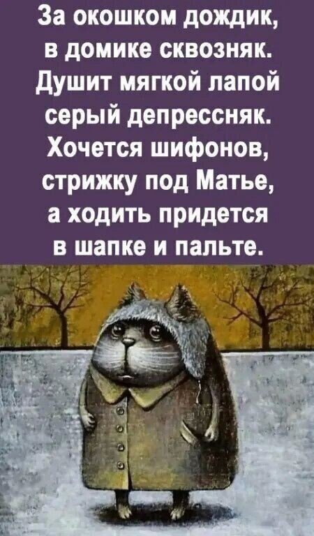 Мем с котом в шапке и пальто: ироничное стихотворение про осеннюю депрессию, дождь и желание перемен. Смешная картинка про осеннее настроение. Открытка За окошком дождик, в домике сквозняк. Душит мягкой лапой серый депрессняк. Смешная и меланхоличная картинка-мем с котом, одетым в шапку и пальто. На изображении представлен ироничный стих о осенней хандре, дожде и депрессии. Кот с грустным выражением мордочки идеально иллюстрирует состояние, когда хочется перемен, но приходится подстраиваться под плохую погоду и холод