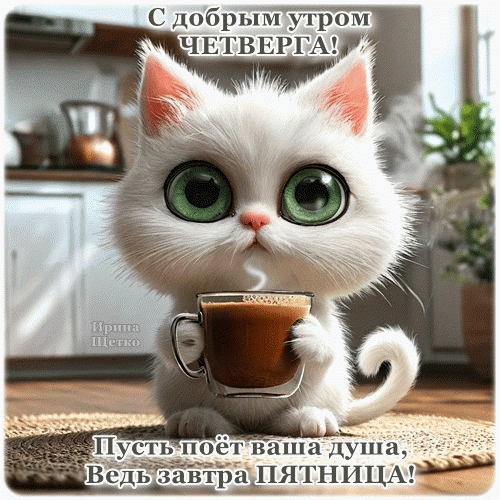 Милый белый котенок с чашкой кофе и пожеланием доброго четверга. Открытка «Пусть поет ваша душа, ведь завтра пятница!» для хорошего настроения. Анимированная открытка Доброе утро Милая и уютная открытка с белым пушистым котенком с большими зелеными глазами, который держит чашку горячего кофе. На изображении надпись на русском языке: «С добрым утром ЧЕТВЕРГА! Пусть поет ваша душа, Ведь завтра ПЯТНИЦА!». Идеально подходит для отправки друзьям и близким в мессенджерах и социальных сетях для поднятия настроения в четверг