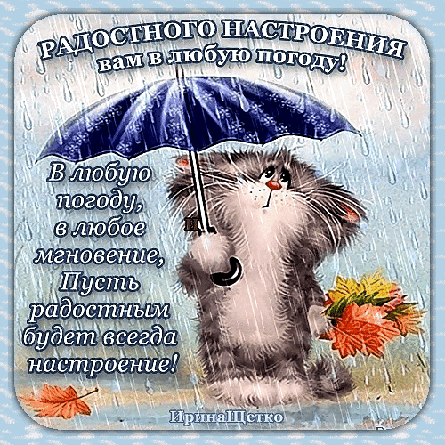 Милая открытка с котенком под зонтом и пожеланием радостного настроения в любую погоду. Добрая картинка для отправки близким в дождливый день. Анимированная открытка Хорошей погоды и радостного настроения! Милая и добрая открытка с изображением пушистого котенка под зонтиком во время дождя. На картинке размещен вдохновляющий текст на русском языке: «Радостного настроения вам в любую погоду! В любую погоду, в любое мгновение, пусть радостным будет всегда настроение!». Иллюстрация наполнена уютом и позитивом, идеально подходит для отправки друзьям и близким в качестве пожелания хорошего настроения в пасмурный день Милая открытка с котенком под зонтом и пожеланием радостного настроения в любую погоду. Добрая картинка для отправки близким в дождливый день. Анимированная открытка Хорошей погоды и радостного настроения! Милая и добрая открытка с изображением пушистого котенка под зонтиком во время дождя. На картинке размещен вдохновляющий текст на русском языке: «Радостного настроения вам в любую погоду! В любую погоду, в любое мгновение, пусть радостным будет всегда настроение!». Иллюстрация наполнена уютом и позитивом, идеально подходит для отправки друзьям и близким в качестве пожелания хорошего настроения в пасмурный день