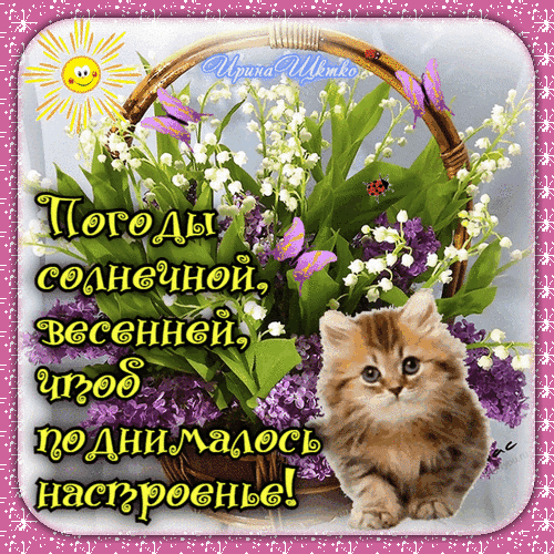 Весенняя открытка с котенком, цветами и пожеланием солнечного настроения. Красивое поздравление с весной для друзей и близких. Анимированная открытка Погоды солнечной, весенней... Красочная поздравительная открытка с надписью на русском языке: 