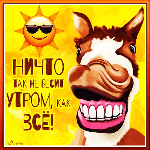 Смешной мем с лошадью и текстом «Ничто так не бесит утром, как все!». Ироничная картинка для поднятия настроения и публикации в соцсетях. Анимированная открытка Доброе УТРО Забавная и ироничная картинка-мем с изображением смеющегося лошадиного лица на ярко-желтом фоне солнца. На изображении расположен текст на русском языке: «Ничто так не бесит утром, как все!». Картинка передает юмористическое настроение утреннего раздражения и плохого настроения Смешной мем с лошадью и текстом «Ничто так не бесит утром, как все!». Ироничная картинка для поднятия настроения и публикации в соцсетях. Анимированная открытка Доброе УТРО Забавная и ироничная картинка-мем с изображением смеющегося лошадиного лица на ярко-желтом фоне солнца. На изображении расположен текст на русском языке: «Ничто так не бесит утром, как все!». Картинка передает юмористическое настроение утреннего раздражения и плохого настроения