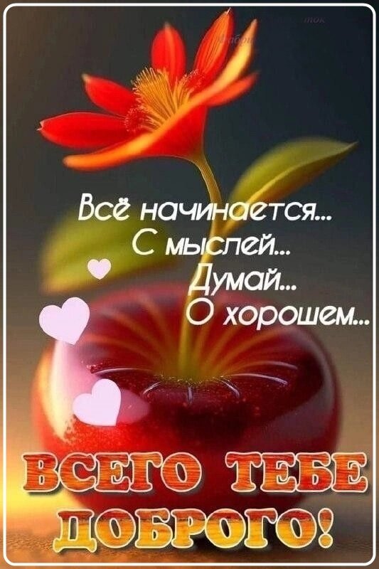 Красивая открытка с красным цветком, яблоком и мотивирующей цитатой: «Все начинается с мыслей... Думай о хорошем!». Пожелание добра и позитива. Открытка Всего тебе доброго Эстетичное изображение с ярким красным цветком и спелым красным яблоком на темном фоне. На картинке нанесен вдохновляющий текст на русском языке: Все начинается... С мыслей... Думай... О хорошем... и крупная надпись внизу ВСЕГО ТЕБЕ ДОБРОГО!. Декор дополнен нежными розовыми сердечками Красивая открытка с красным цветком, яблоком и мотивирующей цитатой: «Все начинается с мыслей... Думай о хорошем!». Пожелание добра и позитива. Открытка Всего тебе доброго Эстетичное изображение с ярким красным цветком и спелым красным яблоком на темном фоне. На картинке нанесен вдохновляющий текст на русском языке: Все начинается... С мыслей... Думай... О хорошем... и крупная надпись внизу ВСЕГО ТЕБЕ ДОБРОГО!. Декор дополнен нежными розовыми сердечками