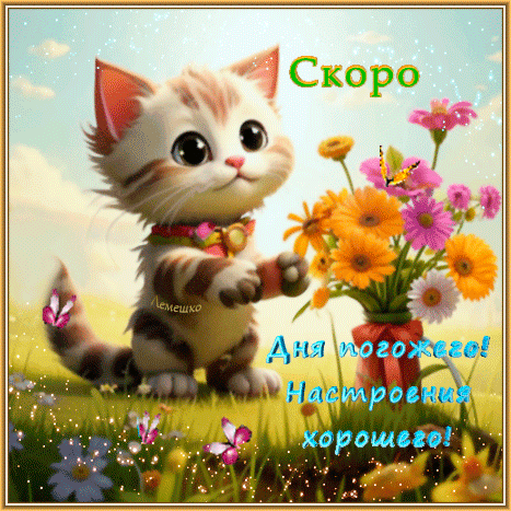 Милая открытка с котенком и цветами. Пожелание Скоро дня погожего! Настроения хорошего! для поднятия настроения и добрых пожеланий близким. Анимированная открытка Скоро Лето! Дня погожего! Настроения хорошего! Милая и яркая открытка с изображением очаровательного пушистого котенка в лучах солнца. Рядом с котенком расположен пышный букет разноцветных осенних и летних цветов — желтых, розовых и фиолетовых гербер. На картинке присутствуют красивые бабочки и магическое мерцание. Текст на русском языке гласит: 