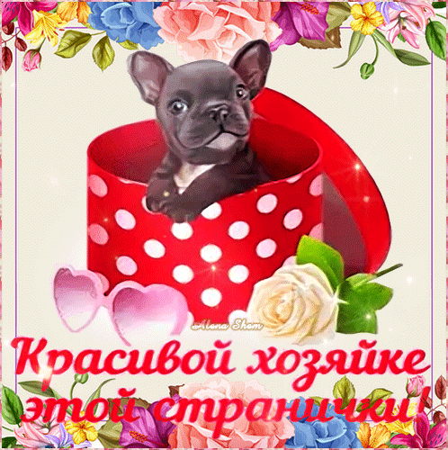Милый французский бульдонок в красной коробке с цветами и надписью «Красивой хозяйке этой странички!». Романтичная открытка для поздравления и комплимента. Анимированная открытка Красивой хозяйке этой странички! Милая и романтичная цифровая открытка с изображением очаровательного черного французского бульдоненка, уютно сидящего в красной коробке в белый горошек. Композиция украшена пышными цветами роз и бутонов в нежных розовых, голубых и желтых тонах. В нижней части изображения расположена красивая надпись на русском языке: «Красивой хозяйке этой странички!»