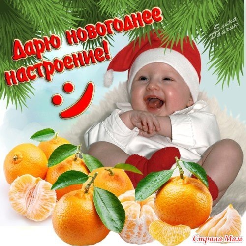 Новогодняя открытка с улыбающимся малышом в колпаке Санты и спелыми мандаринами. Яркое праздничное поздравление с надписью Дарю новогоднее настроение! Открытка Дарю новогоднее настроение! Праздничная новогодняя открытка с изображением очаровательного смеющегося малыша в красном колпаке Санта-Клауса. На переднем плане — сочные спелые мандарины с зелеными листочками, создающие атмосферу зимнего праздника. Композиция дополнена декоративными еловыми ветками и яркой надписью на русском языке: 