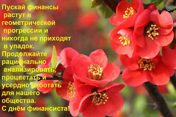 Поздравление с Днем финансиста: пожелание финансового роста в геометрической прогрессии на фоне ярких красных цветов. Красивая праздничная открытка. Открытка Пускай финансы растут в геометрической прогрессии и никогда не приходят в упадок. Красивая поздравительная открытка с яркими красными цветами (айвой) и вдохновляющим пожеланием на тему финансов. Текст на картинке гласит: «Пускай финансы растут в геометрической прогрессии и никогда не приходят в упадок. Продолжайте рационально анализировать, процветать и усердно работать для нашего общества. С днем финансиста!» Изображение идеально подходит для поздравления специалистов финансовой сферы, аналитиков и экономистов с профессиональным праздником