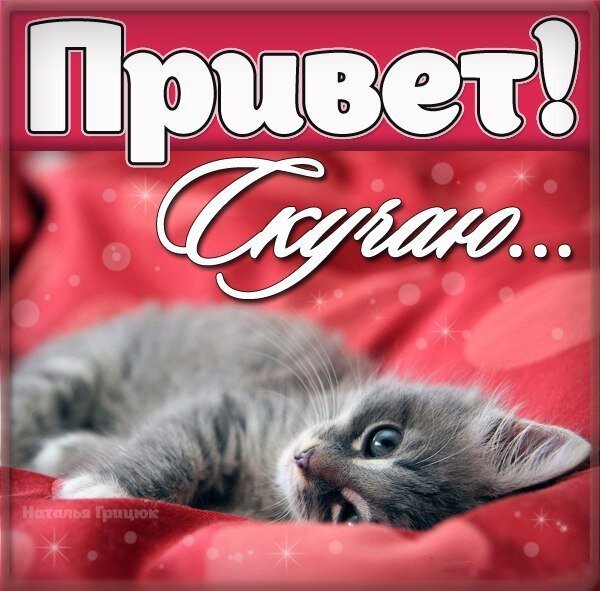 Милая открытка с серым котенком и надписью «Привет! Скучаю...» на красном фоне. Трогательная картинка, чтобы выразить чувства и пожелать доброго дня. Открытка Привет! Скучаю... Милая и трогательная картинка с пушистым серым котенком, который лежит на красном фоне. На изображении крупным шрифтом написаны надписи на русском языке: «Привет!» и «Скучаю...». Идеально подходит для отправки друзьям, близким или любимым в качестве эмоциональной открытки, чтобы выразить свои чувства, пожелать доброго дня или сказать, что вы соскучились