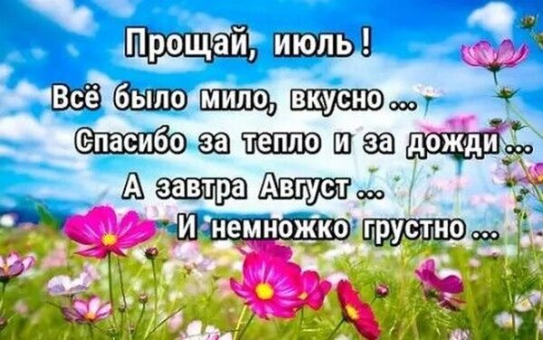Красивая открытка «Прощай, июль!» с цитатой о лете на фоне ярких цветов и голубого неба. Идеально для соцсетей и статусов при переходе из июля в август. Открытка Прощай, Июль! А завтра Август... Красивая летняя открытка с надписью «Прощай, июль! Все было мило, вкусно... Спасибо за тепло и за дожди... А завтра Август... И немножко грустно...» на фоне цветущего поля космеи под ярко-голубым небом с облаками Красивая открытка «Прощай, июль!» с цитатой о лете на фоне ярких цветов и голубого неба. Идеально для соцсетей и статусов при переходе из июля в август. Открытка Прощай, Июль! А завтра Август... Красивая летняя открытка с надписью «Прощай, июль! Все было мило, вкусно... Спасибо за тепло и за дожди... А завтра Август... И немножко грустно...» на фоне цветущего поля космеи под ярко-голубым небом с облаками