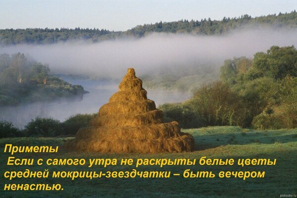Картинка с народной приметой о погоде: если не раскрылись цветы мокрицы-звездчатки, то вечером будет ненастье. На фоне — туман, река и стог сена. Открытка Приметы Если с самого утра не раскрыты белые цветы средней мокрицы-звездчатки – быть вечером ненаст Пейзажное изображение с туманным утром на фоне реки и леса. На переднем плане — большая стог сена. На картинке наложен текст с народной приметой на русском языке: «Приметы: Если с самого утра не раскрыты белые цветы средней мокрицы-звездчатки – быть вечером ненастью»