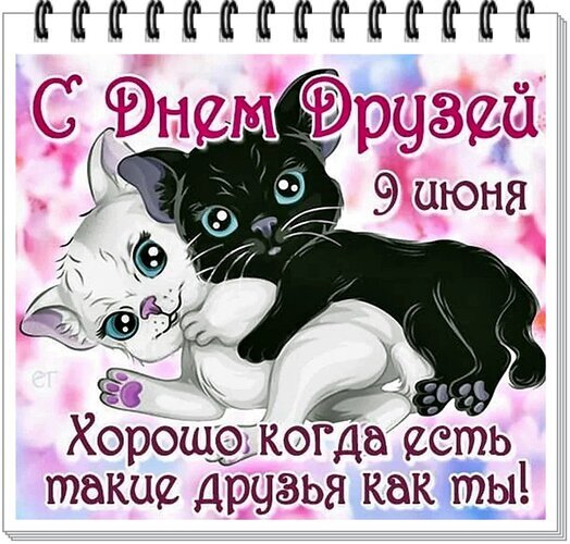 Милая открытка к Дню друзей (9 июня) с обнимающимися котятами. Надпись: Хорошо, когда есть такие друзья, как ты!. Идеально для поздравления! Открытка С днем друзей Иллюстрация в виде открытки к Дню друзей (9 июня) с изображением двух милых котят: белого и черного, которые обнимаются. На картинке надпись на русском языке: 