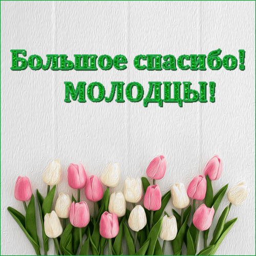 Открытка «Большое спасибо! Молодцы!» с красивым букетом розовых и белых тюльпанов. Идеально для благодарности коллегам или команде за отличную работу. Анимированная открытка Большое спасибо молодцы Красивая поздравительная открытка с надписью «Большое спасибо! Молодцы!» на светлом текстурированном фоне. В нижней части композиции расположен пышный букет нежных розовых и белых тюльпанов с зелеными листьями. Изображение идеально подходит для выражения благодарности команде, коллегам или друзьям за отличную работу или достижение успеха
