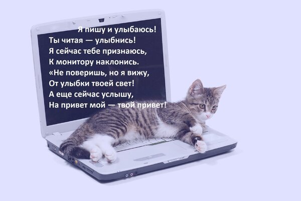 Милый котенок на ноутбуке с романтическим стихотворением на русском языке. Идеальная картинка для признания в чувствах или просто для поднятия настроения. Открытка Я пишу и улыбаюсь! Ты читая — улыбнись! Я сейчас тебе признаюсь, к монитору наклонись. Милое изображение с котенком, лежащим на открытом ноутбуке, на фоне которого размещен романтический текст на русском языке. На картинке изображен полосатый котенок, уютно устроившийся на клавиатуре, что создает атмосферу тепла и нежности. Текст представляет собой короткое стихотворение о чувствах, общении через экран и радости от улыбки близкого человека