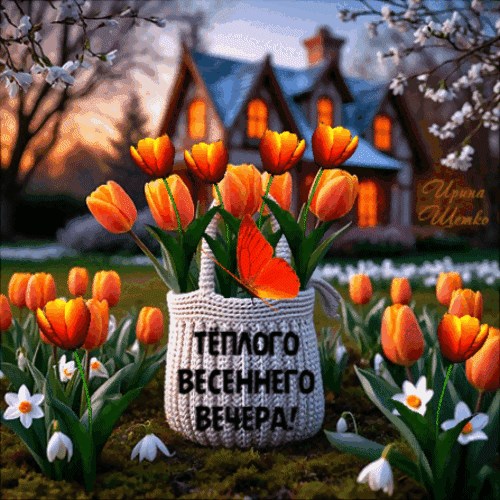 Букет оранжевых тюльпанов в корзине с надписью Теплого весеннего вечера!. Красивая открытка с бабочкой и уютным домом на фоне для весенних пожеланий. Анимированная открытка Теплого вечера! Красочное весеннее изображение с букетом ярких оранжевых тюльпанов в белой плетеной корзине. На переднем плане — нежные цветы и порхающая оранжевая бабочка, на заднем плане — уютный загородный дом в лучах закатного солнца и цветущие деревья. На корзине надпись на русском языке: Теплого весеннего вечера! Букет оранжевых тюльпанов в корзине с надписью Теплого весеннего вечера!. Красивая открытка с бабочкой и уютным домом на фоне для весенних пожеланий. Анимированная открытка Теплого вечера! Красочное весеннее изображение с букетом ярких оранжевых тюльпанов в белой плетеной корзине. На переднем плане — нежные цветы и порхающая оранжевая бабочка, на заднем плане — уютный загородный дом в лучах закатного солнца и цветущие деревья. На корзине надпись на русском языке: Теплого весеннего вечера!