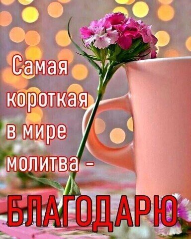 Вдохновляющая картинка с розовыми цветами и текстом: Самая короткая в мире молитва – БЛАГОДАРЮ. Уютная атмосфера и слова благодарности для души. Открытка Самая короткая в мире молитва - Благодарю На картинке изображен нежный розовый букет цветов в чашке на фоне мягкого боке из теплых золотистых огней. Поверх изображения наложен вдохновляющий текст на русском языке: 