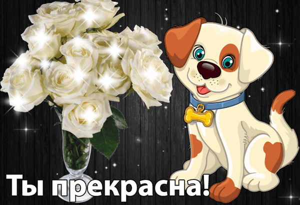 Милая открытка с букетом белых роз и очаровательным щенком. Надпись «Ты прекрасна!» на фоне темного дерева со сверкающими искрами. Анимированная открытка Ты прекрасна! Красивая праздничная открытка с букетом белоснежных роз в вазе и милым мультяшным щенком. На фоне темного деревянного текстурированного полотна расположена надпись на русском языке «Ты прекрасна!». Изображение украшено сверкающими бликами и звездами, создавая романтическую и нежную атмосферу