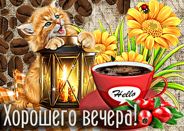 Уютная открытка с рыжим котенком, фонариком, кофе и цветами. Красивое пожелание хорошего вечера для создания теплой и домашней атмосферы. Анимированная открытка Добрый вечер! Красочная и уютная поздравительная открытка, созданная для пожелания хорошего вечера. На изображении милый рыжий котенок, лапками обнимающий светящийся фонарь с горящими свечами. Композицию дополняют чашка ароматного кофе, яркие желтые цветы, ягоды и кофейные зерна на фоне мешковины. Теплые тона и мягкий свет создают атмосферу уюта, спокойствия и домашнего тепла Уютная открытка с рыжим котенком, фонариком, кофе и цветами. Красивое пожелание хорошего вечера для создания теплой и домашней атмосферы. Анимированная открытка Добрый вечер! Красочная и уютная поздравительная открытка, созданная для пожелания хорошего вечера. На изображении милый рыжий котенок, лапками обнимающий светящийся фонарь с горящими свечами. Композицию дополняют чашка ароматного кофе, яркие желтые цветы, ягоды и кофейные зерна на фоне мешковины. Теплые тона и мягкий свет создают атмосферу уюта, спокойствия и домашнего тепла