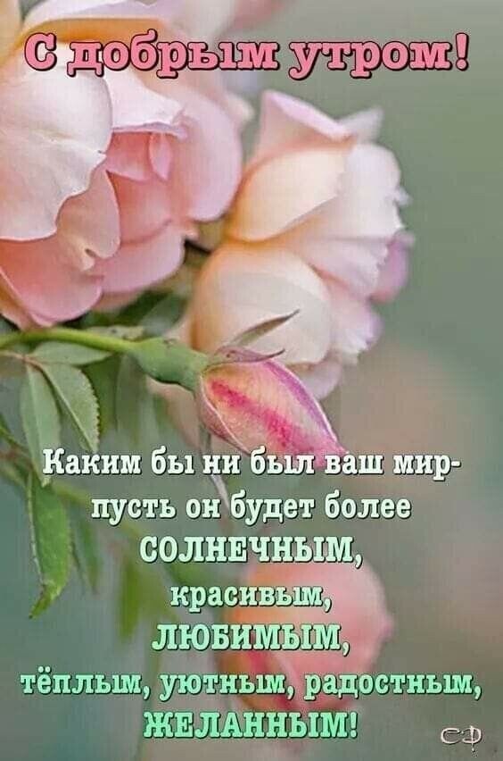 Доброе утро! Красивая открытка с нежными розами и пожеланиями солнечного, уютного и радостного дня. Идеально для отправки близким в мессенджерах. Открытка С добрым утром! Красивая поздравительная открытка с изображением нежных розовых роз и бутонов. На картинке размещен вдохновляющий текст на русском языке: «С добрым утром! Каким бы ни был ваш мир — пусть он будет более солнечным, красивым, любимым, теплым, уютным, радостным, желанным!». Идеально подходит для отправки в мессенджерах (WhatsApp, Viber) и социальных сетях в качестве доброго пожелания хорошего утра, нежности и позитивного настроения