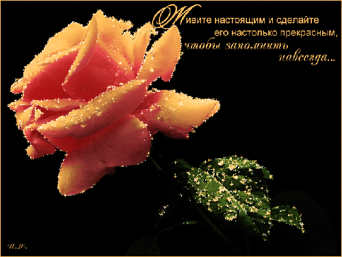 Эстетичная розовая роза со сверкающими искрами на черном фоне и вдохновляющая цитата о жизни настоящим моментом. Романтичная открытка и обои. Анимированная открытка Живите настоящим и сделайте его настолько прекрасным, чтобы запомнить навсегда... Красивое эстетичное изображение пышной розовой розы на глубоком черном фоне. Лепестки цветка подсвечены мягким теплым светом и украшены сверкающими искрами, создающими эффект волшебного сияния. В правой части композиции расположен изысканный текст на русском языке курсивом: 