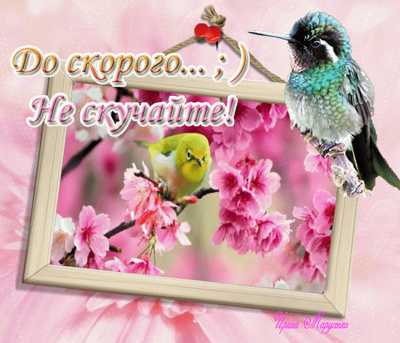 Милая открытка с цветами сакуры и птичками. Надпись: «До скорого... ; ) Не скучайте!». Нежное весеннее изображение для соцсетей и мессенджеров. Анимированная открытка До скорого...;) Не скучайте! Красочное поздравительное изображение в нежных розовых тонах. На картинке представлена композиция из цветущей сакуры, маленькой птички в рамке и яркого колибри, сидящего на краю кадра. Текст на русском языке гласит: До скорого... ; ) Не скучайте!, что создает атмосферу дружеского прощания или временного отсутствия. Идеально подходит для использования в качестве открытки, статуса в социальных сетях или сообщения для близких людей Милая открытка с цветами сакуры и птичками. Надпись: «До скорого... ; ) Не скучайте!». Нежное весеннее изображение для соцсетей и мессенджеров. Анимированная открытка До скорого...;) Не скучайте! Красочное поздравительное изображение в нежных розовых тонах. На картинке представлена композиция из цветущей сакуры, маленькой птички в рамке и яркого колибри, сидящего на краю кадра. Текст на русском языке гласит: До скорого... ; ) Не скучайте!, что создает атмосферу дружеского прощания или временного отсутствия. Идеально подходит для использования в качестве открытки, статуса в социальных сетях или сообщения для близких людей