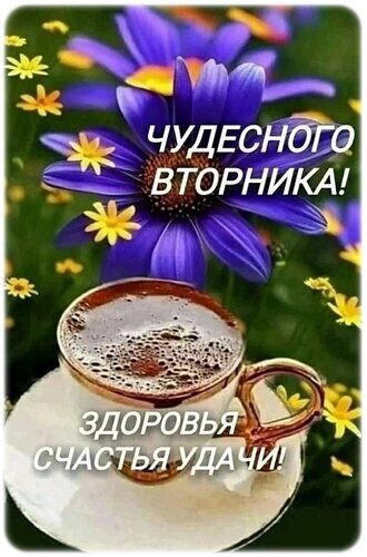 Пожелание чудесного вторника, здоровья, счастья и удачи. Красивая картинка с фиолетовыми цветами и чашкой кофе для доброго утра и хорошего настроения! Открытка Привет, вторник! Красочное поздравительное изображение для создания хорошего настроения во вторник. На картинке изображены яркие фиолетовые цветы с желтой сердцевиной на фоне зеленой листвы, а на переднем плане стоит чашка ароматного кофе или какао с пенкой на блюдце. На изображении нанесен текст на русском языке: «ЧУДЕСНОГО ВТОРНИКА! ЗДОРОВЬЯ СЧАСТЬЯ УДАЧИ!»