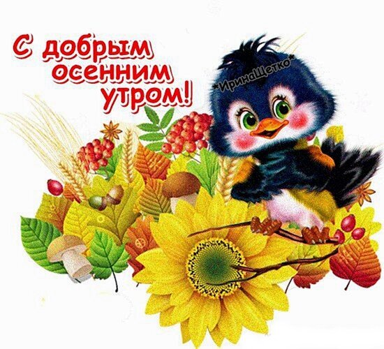 Осенняя открытка «С добрым осенним утром!» с милым персонажем, подсолнухом, ягодами рябины и грибами. Теплое пожелание доброго утра в ярких красках. Открытка С добрым осенним утром! Красочная осенняя открытка с пожеланием доброго утра. На изображении представлен милый пушистый персонаж в окружении осенней атрибутики: яркого подсолнуха, спелых ягод рябины, грибов и золотистых листьев. Теплая цветовая гамма и уютная композиция создают осеннее настроение Осенняя открытка «С добрым осенним утром!» с милым персонажем, подсолнухом, ягодами рябины и грибами. Теплое пожелание доброго утра в ярких красках. Открытка С добрым осенним утром! Красочная осенняя открытка с пожеланием доброго утра. На изображении представлен милый пушистый персонаж в окружении осенней атрибутики: яркого подсолнуха, спелых ягод рябины, грибов и золотистых листьев. Теплая цветовая гамма и уютная композиция создают осеннее настроение