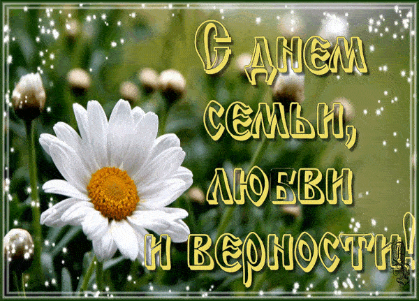 Открытка «С днем семьи, любви и верности!» с изображением белой ромашки и праздничными искрами. Красивое поздравление для близких в соцсетях. Анимированная открытка С днем семьи любви и верности! Красивая поздравительная открытка с надписью «С днем семьи, любви и верности!». На изображении крупным планом изображена нежная белая ромашка с желтой сердцевиной на фоне размытого зеленого сада. Картинка украшена сияющими белыми искрами и блестками, создающими праздничную и теплую атмосферу