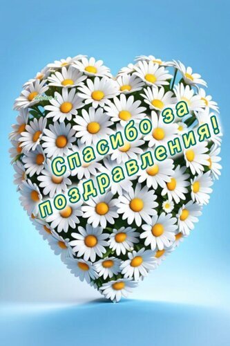 Открытка в форме сердца из белых ромашек с надписью «Спасибо за поздравления!». Нежное изображение для выражения благодарности за теплые пожелания. Открытка Спасибо за поздравления Красивая поздравительная открытка в форме сердца, состоящая из множества белоснежных ромашек с желтыми сердцевинами. На фоне нежно-голубого цвета расположена надпись на русском языке: «Спасибо за поздравления!». Изображение наполнено свежестью, весенним настроением и нежностью, идеально подходит для выражения благодарности за теплые слова, пожелания и внимание в праздничный день