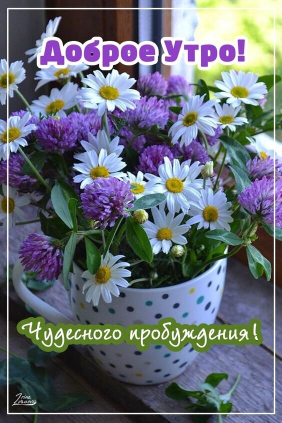 Яркий букет ромашек и клевера в кружке с пожеланиями «Доброе утро!» и «Чудесного пробуждения!». Красивая картинка для позитивного начала дня. Открытка С добрым утром Красочное и позитивное изображение для пожелания доброго утра. На картинке представлен пышный букет полевых цветов — белых ромашек с желтыми сердцевинами и фиолетовых клеверов, стоящий в уютной белой кружке в горошек. На фоне виден светлый интерьер, создающий атмосферу свежести и утреннего тепла. На изображении нанесены яркие надписи на русском языке: «Доброе утро!» сверху и «Чудесного пробуждения!» снизу