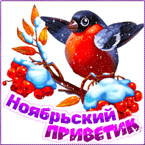 Зимняя открытка с милой птичкой на заснеженной ветке с красными ягодами и надписью «Ноябрьский приветик». Идеально для осенне-зимних поздравлений! Анимированная открытка Ноябрьский привет! Красочная зимняя открытка с изображением милого пушистого птички с ярко-красной грудкой, сидящей на ветке с заснеженными гроздьями красных ягод. На картинке виден мягкий падающий снег, создающий атмосферу зимней сказки. В нижней части расположена стильная надпись на русском языке «Ноябрьский приветик», выполненная в фиолетовых тонах с белой обводкой