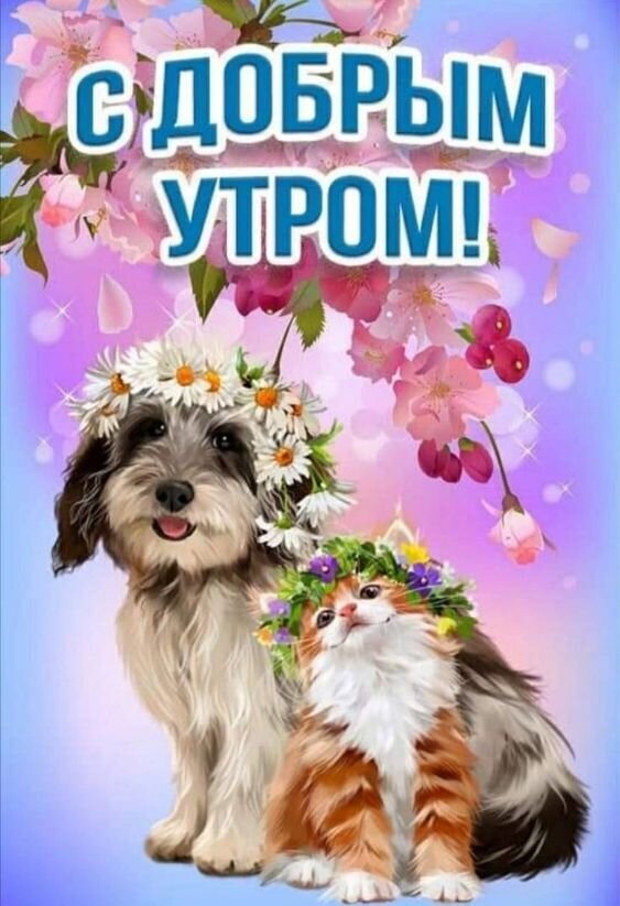 Милая открытка «С добрым утром!» с пушистым песиком, котенком и цветами. Красивое пожелание доброго утра с нежными цветочными венками и сакурой. Открытка С добрым утром! Красивая поздравительная открытка с надписью «С добрым утром!» на фоне нежно-розовых цветов сакуры. На изображении запечатлены милый пушистый пес и рыжий котенок, украшенные венками из белых ромашек. Атмосфера картинки наполнена уютом, нежностью и весенним настроением