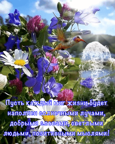 Вдохновляющая картинка с цветами, колибри и пожеланием позитива: «Пусть каждый миг жизни будет наполнен солнечными лучами и добрыми словами!» Анимированная открытка Пусть каждый Красивое вдохновляющее изображение с яркими цветами, колибри в полете и фонтаном на заднем плане. На картинке размещена мотивирующая цитата на русском языке: «Пусть каждый миг жизни будет наполнен солнечными лучами, добрыми словами, светлыми людьми, позитивными мыслями!»