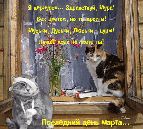 Мем с котами и текстом песни «Последний день марта». Юмористическая картинка с серым котом, полосатым котом и букетом цветов на подоконнике. Анимированная открытка Здравствуй, Мура! Я вернулся... С последним днем марта! Юмористическая картинка с котами, вдохновленная песней «Последний день марта». На изображении серый кот в повязке на голове и белый полосатый кот сидят на подоконнике рядом с букетом цветов. На фоне видна занавеска и окно. Поверх изображения наложен текст на русском языке: «Я вернулся... Здравствуй, Мура! Без цветов, но ты прости! Муськи, Дуськи, Люськи — дуры! Лучше всех на свете ты! Последний день марта...» Мем с котами и текстом песни «Последний день марта». Юмористическая картинка с серым котом, полосатым котом и букетом цветов на подоконнике. Анимированная открытка Здравствуй, Мура! Я вернулся... С последним днем марта! Юмористическая картинка с котами, вдохновленная песней «Последний день марта». На изображении серый кот в повязке на голове и белый полосатый кот сидят на подоконнике рядом с букетом цветов. На фоне видна занавеска и окно. Поверх изображения наложен текст на русском языке: «Я вернулся... Здравствуй, Мура! Без цветов, но ты прости! Муськи, Дуськи, Люськи — дуры! Лучше всех на свете ты! Последний день марта...»