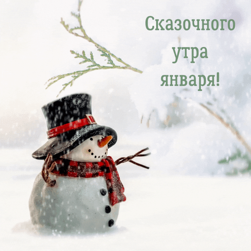 Зимняя открытка со снеговиком и надписью «Сказочного утра января!». Волшебная атмосфера зимнего утра для праздничных поздравлений и пожеланий. Анимированная открытка Сказочного утра января! Милая зимняя открытка с изображением маленького снеговика в черном цилиндре и красном шарфе на фоне заснеженной ветки. На картинке красуется надпись на русском языке: «Сказочного утра января!»
