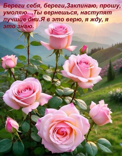 Трогательная открытка с розовыми розами и текстом о надежде и любви: «Береги себя... Ты вернешься». Красивый пейзаж и нежные цветы для близких. Открытка Береги себя, береги, Заклинаю, прошу, умоляю… Ты вернешься, наступят лучшие дни Я в это верю, я жду, Красивая открытка с нежными розовыми розами на фоне живописного горного пейзажа при закате. На изображении размещен трогательный текст на русском языке: «Береги себя, береги, Заклинаю, прошу, умоляю... Ты вернешься, наступят лучшие дни. Я в это верю, я жду, я это знаю». Изображение наполнено чувствами надежды, любви и тоски по любимому человеку