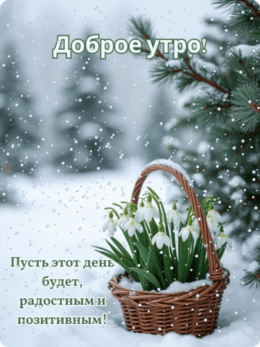 Доброе утро! Красивая открытка с подснежниками в корзинке на фоне зимнего леса. Пожелание радостного и позитивного дня для ваших близких. Анимированная открытка Доброе утро! Красивая зимняя открытка с пожеланием доброго утра. На переднем плане изображена плетеная корзинка с нежными белыми подснежниками, стоящая на заснеженном фоне. Вокруг падают мягкие снежинки, а на заднем плане виднеются заснеженные ели в легкой дымке. На картинке расположен текст на русском языке: «Доброе утро! Пусть этот день будет радостным и позитивным!» Доброе утро! Красивая открытка с подснежниками в корзинке на фоне зимнего леса. Пожелание радостного и позитивного дня для ваших близких. Анимированная открытка Доброе утро! Красивая зимняя открытка с пожеланием доброго утра. На переднем плане изображена плетеная корзинка с нежными белыми подснежниками, стоящая на заснеженном фоне. Вокруг падают мягкие снежинки, а на заднем плане виднеются заснеженные ели в легкой дымке. На картинке расположен текст на русском языке: «Доброе утро! Пусть этот день будет радостным и позитивным!»